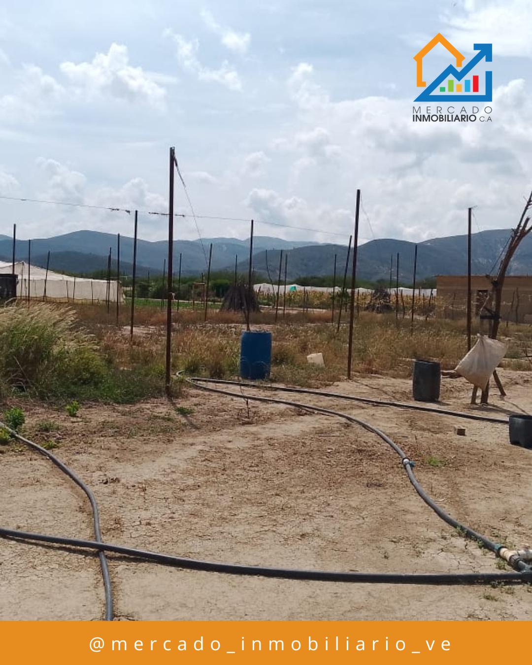 Granja Productiva — foto 2