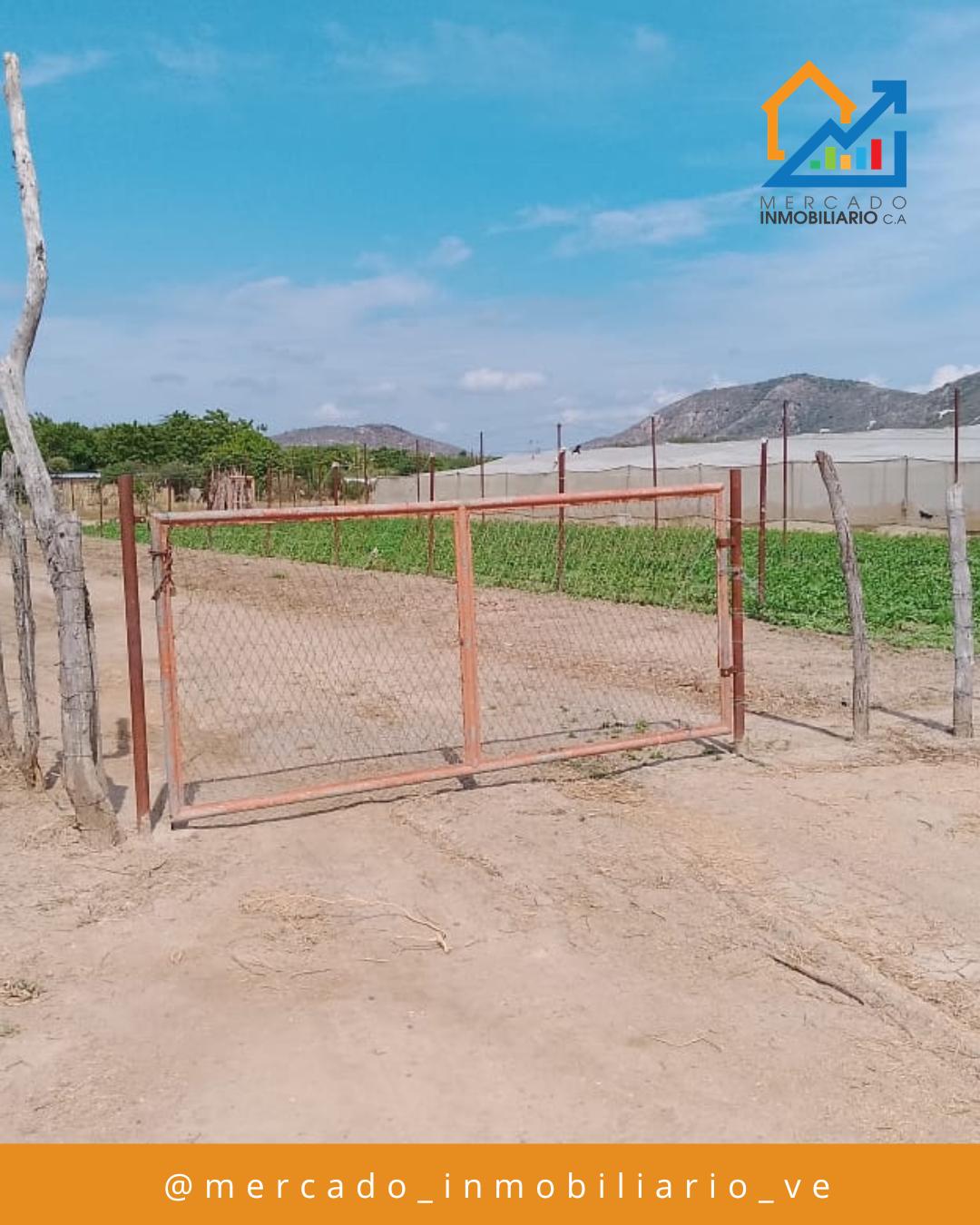 Granja Productiva — foto 4